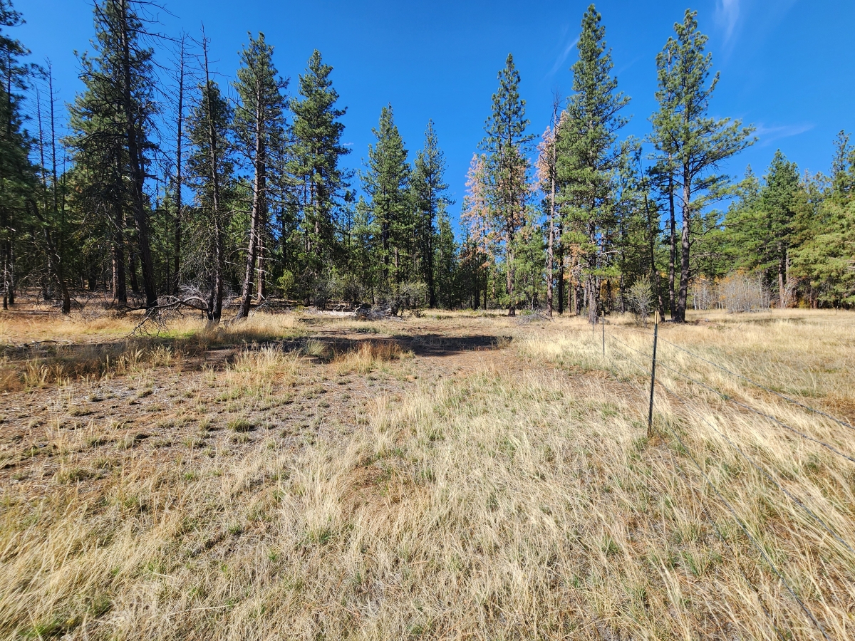 2.35 Acres for Sale in Bonanza, Oregon - LandCentury
