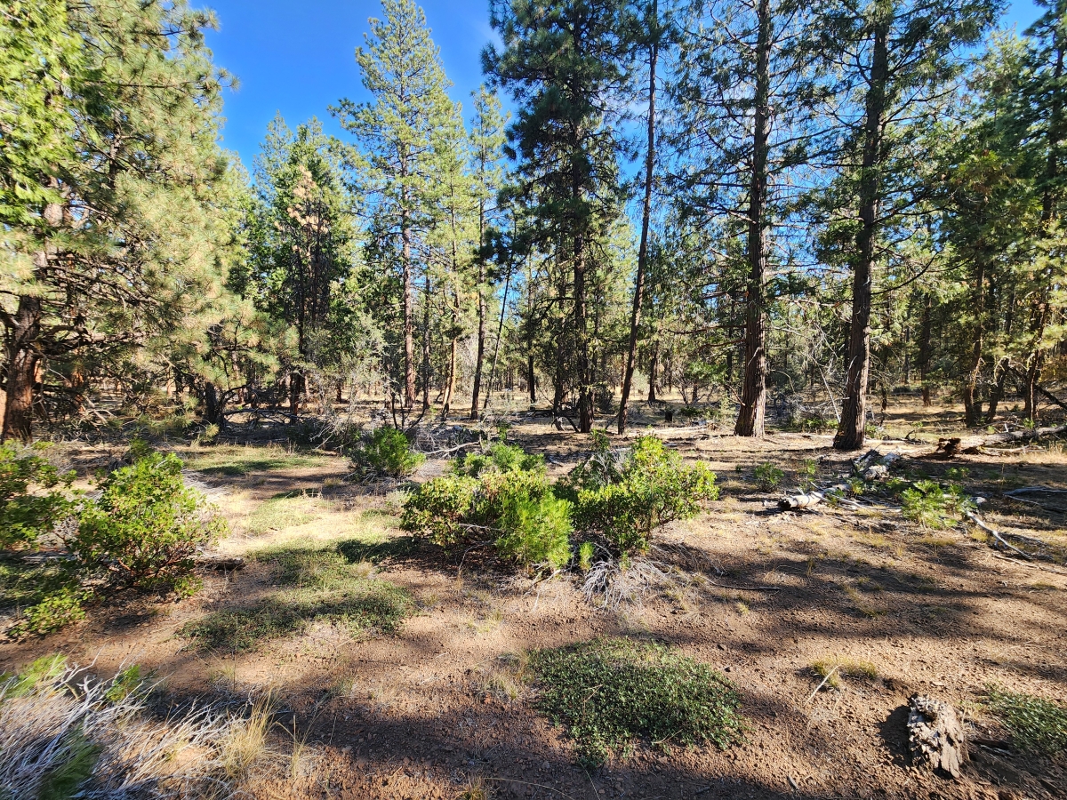 2.31 Acres for Sale in Bonanza, Oregon - LandCentury