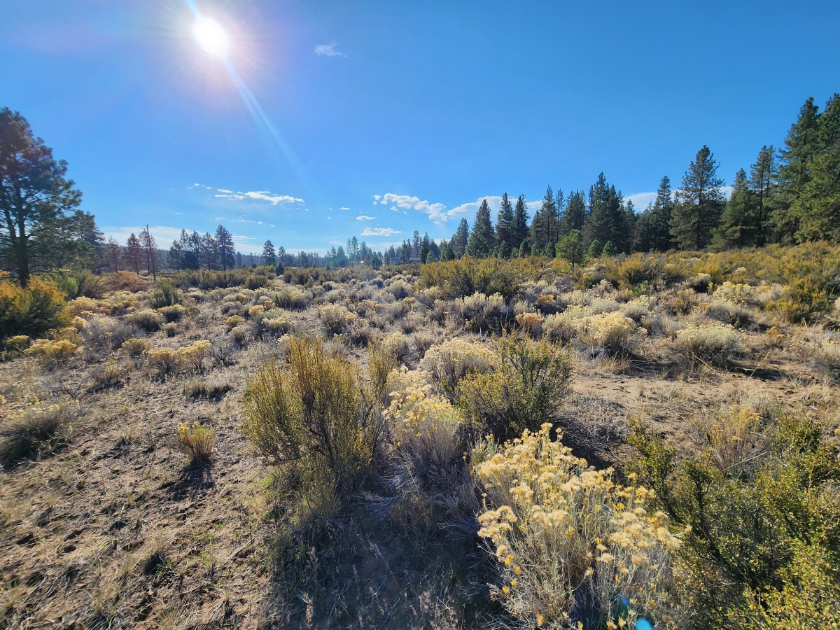 2 Acres for Sale in Bonanza, Oregon - LandCentury
